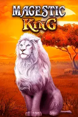 Gioco da Slot5